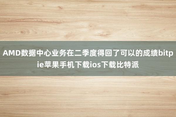 AMD数据中心业务在二季度得回了可以的成绩bitpie苹果手机下载ios下载比特派