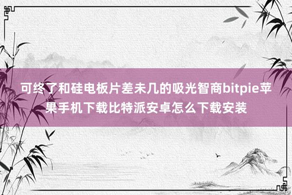 可终了和硅电板片差未几的吸光智商bitpie苹果手机下载比特派安卓怎么下载安装