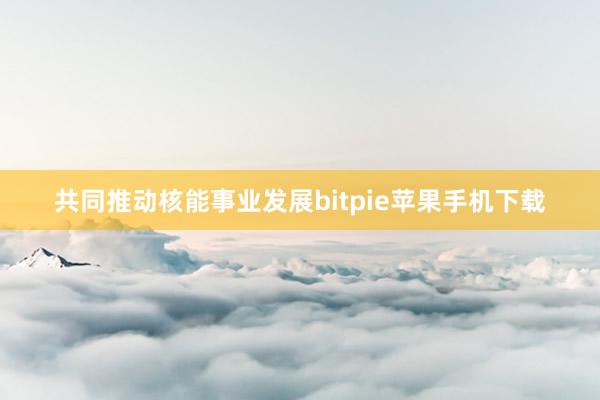 共同推动核能事业发展bitpie苹果手机下载