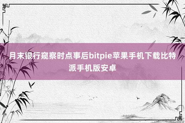 月末银行窥察时点事后bitpie苹果手机下载比特派手机版安卓