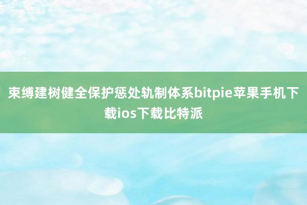 束缚建树健全保护惩处轨制体系bitpie苹果手机下载ios下载比特派