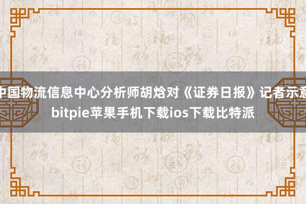 中国物流信息中心分析师胡焓对《证券日报》记者示意bitpie苹果手机下载ios下载比特派