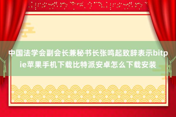 中国法学会副会长兼秘书长张鸣起致辞表示bitpie苹果手机下载比特派安卓怎么下载安装