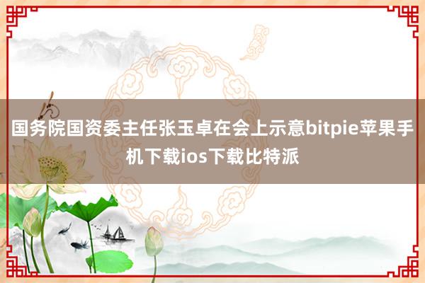 国务院国资委主任张玉卓在会上示意bitpie苹果手机下载ios下载比特派