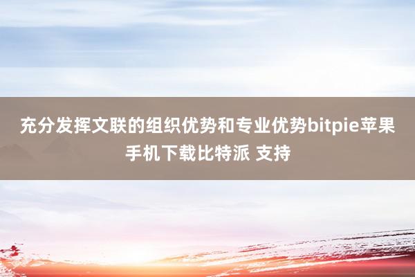 充分发挥文联的组织优势和专业优势bitpie苹果手机下载比特派 支持