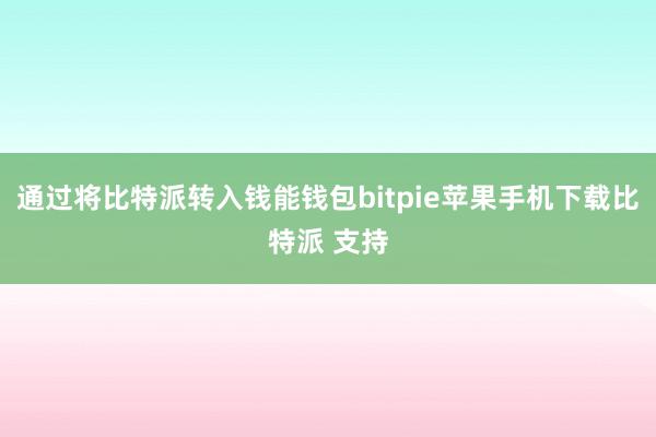 通过将比特派转入钱能钱包bitpie苹果手机下载比特派 支持