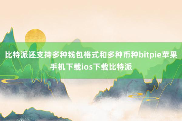 比特派还支持多种钱包格式和多种币种bitpie苹果手机下载ios下载比特派