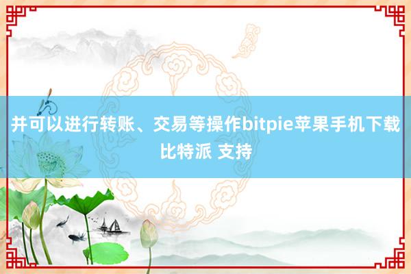 并可以进行转账、交易等操作bitpie苹果手机下载比特派 支持