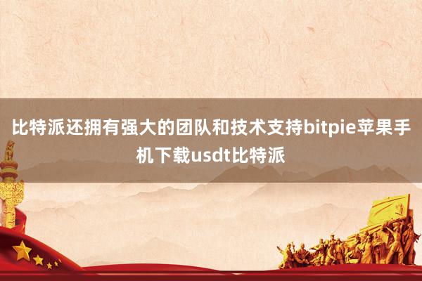 比特派还拥有强大的团队和技术支持bitpie苹果手机下载usdt比特派