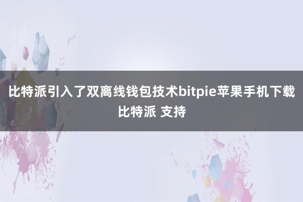 比特派引入了双离线钱包技术bitpie苹果手机下载比特派 支持