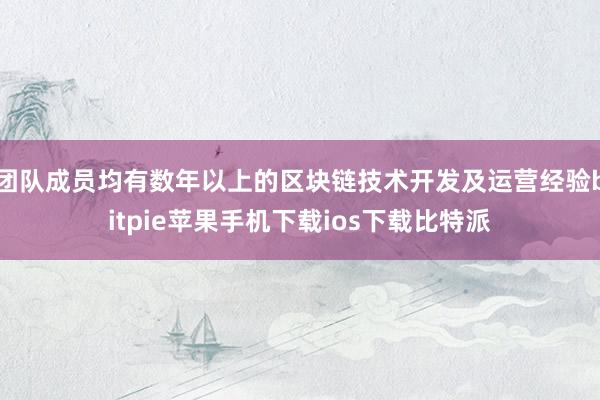 团队成员均有数年以上的区块链技术开发及运营经验bitpie苹果手机下载ios下载比特派