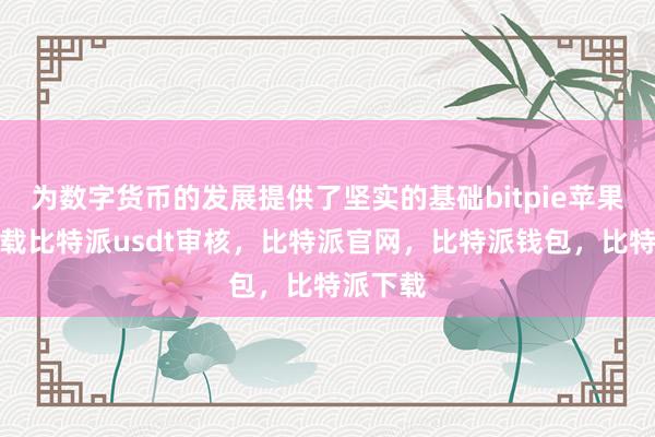 为数字货币的发展提供了坚实的基础bitpie苹果手机下载比特派usdt审核，比特派官网，比特派钱包，比特派下载