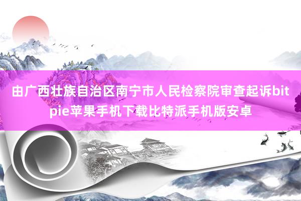 由广西壮族自治区南宁市人民检察院审查起诉bitpie苹果手机下载比特派手机版安卓