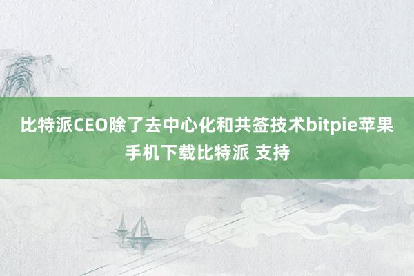 比特派CEO除了去中心化和共签技术bitpie苹果手机下载比特派 支持