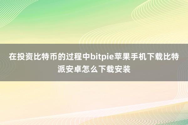 在投资比特币的过程中bitpie苹果手机下载比特派安卓怎么下载安装