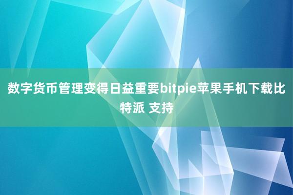 数字货币管理变得日益重要bitpie苹果手机下载比特派 支持