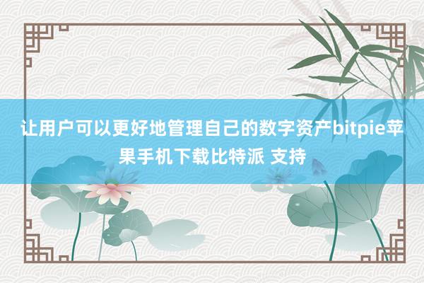 让用户可以更好地管理自己的数字资产bitpie苹果手机下载比特派 支持