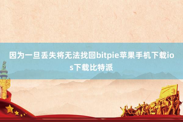 因为一旦丢失将无法找回bitpie苹果手机下载ios下载比特派