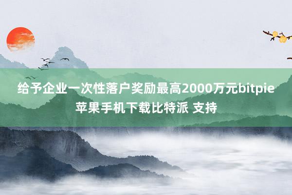 给予企业一次性落户奖励最高2000万元bitpie苹果手机下载比特派 支持