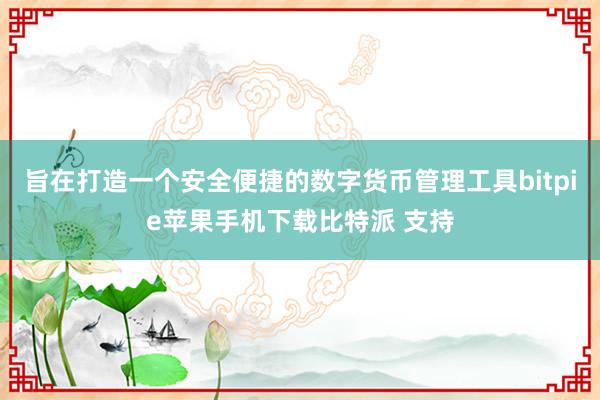 旨在打造一个安全便捷的数字货币管理工具bitpie苹果手机下载比特派 支持