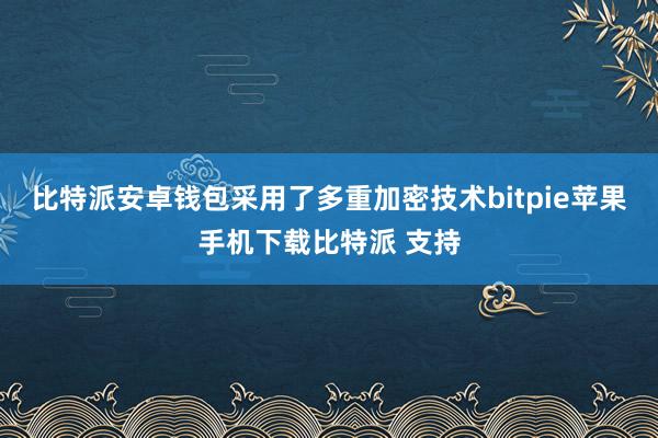 比特派安卓钱包采用了多重加密技术bitpie苹果手机下载比特派 支持