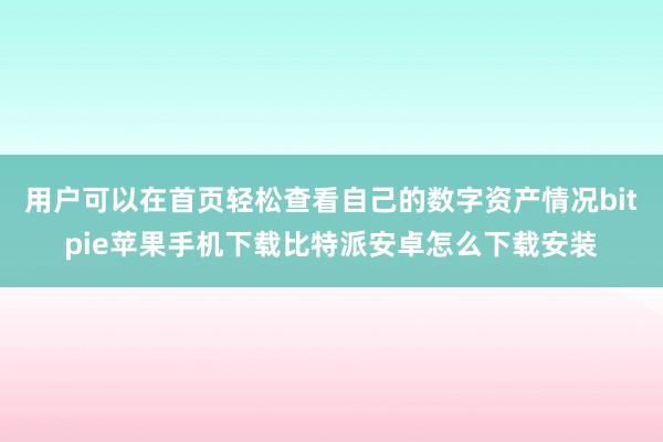 用户可以在首页轻松查看自己的数字资产情况bitpie苹果手机下载比特派安卓怎么下载安装