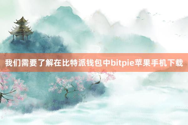 我们需要了解在比特派钱包中bitpie苹果手机下载