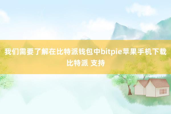 我们需要了解在比特派钱包中bitpie苹果手机下载比特派 支持