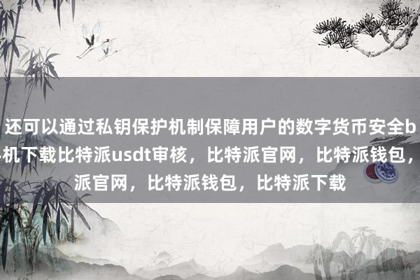 还可以通过私钥保护机制保障用户的数字货币安全bitpie苹果手机下载比特派usdt审核，比特派官网，比特派钱包，比特派下载