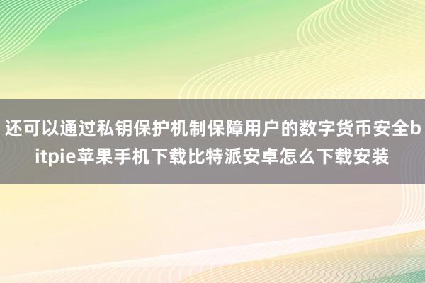 还可以通过私钥保护机制保障用户的数字货币安全bitpie苹果手机下载比特派安卓怎么下载安装