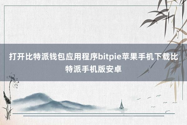 打开比特派钱包应用程序bitpie苹果手机下载比特派手机版安卓