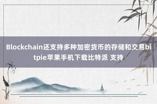 Blockchain还支持多种加密货币的存储和交易bitpie苹果手机下载比特派 支持