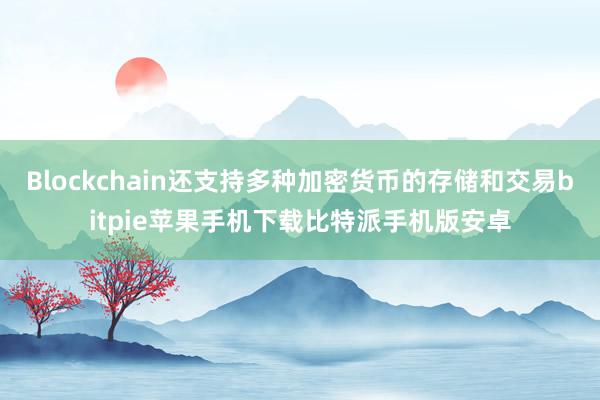 Blockchain还支持多种加密货币的存储和交易bitpie苹果手机下载比特派手机版安卓