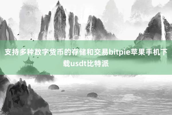 支持多种数字货币的存储和交易bitpie苹果手机下载usdt比特派