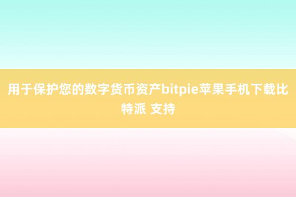 用于保护您的数字货币资产bitpie苹果手机下载比特派 支持