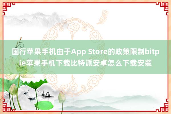 国行苹果手机由于App Store的政策限制bitpie苹果手机下载比特派安卓怎么下载安装