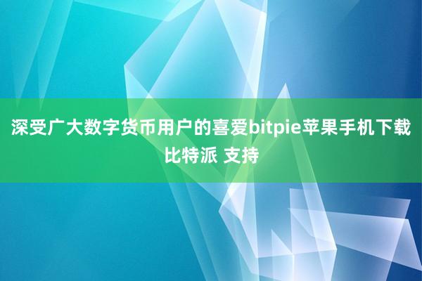 深受广大数字货币用户的喜爱bitpie苹果手机下载比特派 支持