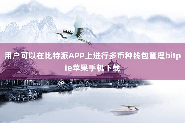 用户可以在比特派APP上进行多币种钱包管理bitpie苹果手机下载