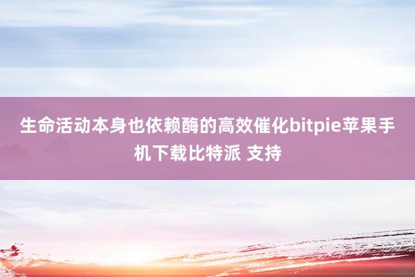 生命活动本身也依赖酶的高效催化bitpie苹果手机下载比特派 支持