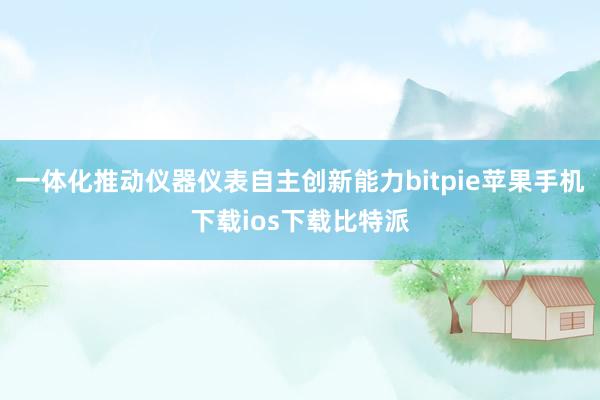 一体化推动仪器仪表自主创新能力bitpie苹果手机下载ios下载比特派