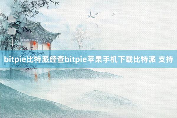 bitpie比特派经查bitpie苹果手机下载比特派 支持