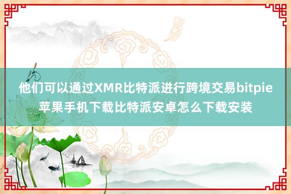 他们可以通过XMR比特派进行跨境交易bitpie苹果手机下载比特派安卓怎么下载安装