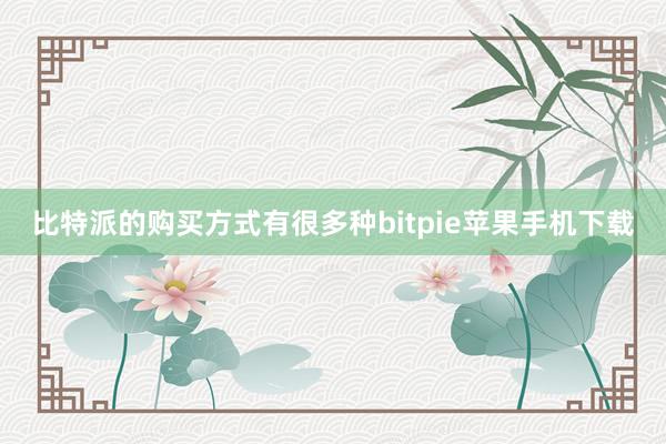 比特派的购买方式有很多种bitpie苹果手机下载