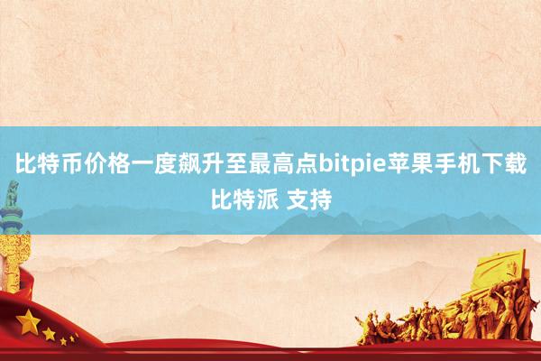 比特币价格一度飙升至最高点bitpie苹果手机下载比特派 支持