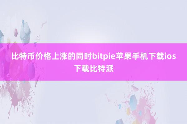 比特币价格上涨的同时bitpie苹果手机下载ios下载比特派