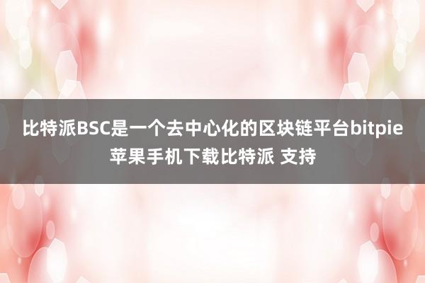 比特派BSC是一个去中心化的区块链平台bitpie苹果手机下载比特派 支持