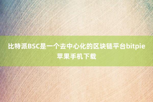 比特派BSC是一个去中心化的区块链平台bitpie苹果手机下载