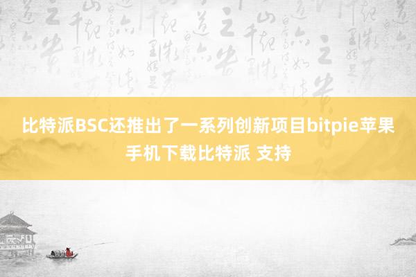 比特派BSC还推出了一系列创新项目bitpie苹果手机下载比特派 支持