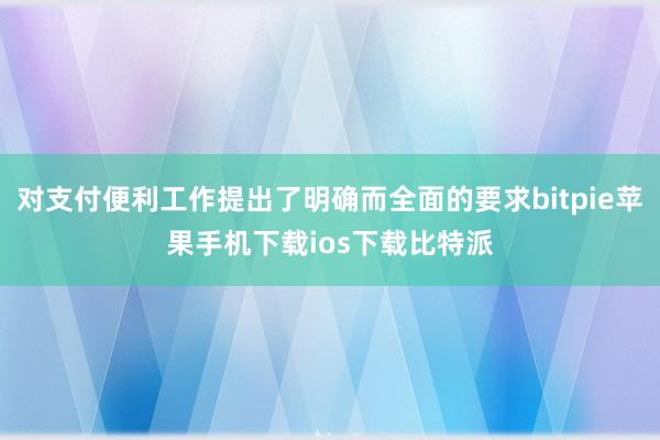 对支付便利工作提出了明确而全面的要求bitpie苹果手机下载ios下载比特派