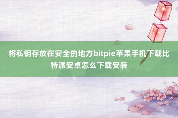 将私钥存放在安全的地方bitpie苹果手机下载比特派安卓怎么下载安装